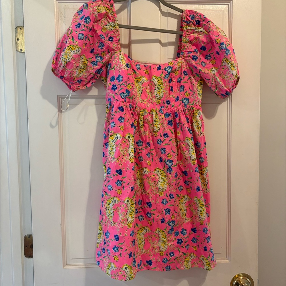 Lilly Pulitzer Pink and Blue Floral Dress